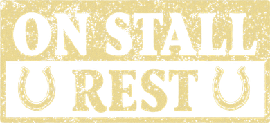On Stall Rest Horse Button