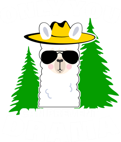 Only You Can Prevent Drama Women's Tank Top
