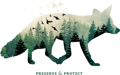 Preserve And Protect Vintage National Park Fox Forest Gift Great Gift Kids Long Sleeve Shirt