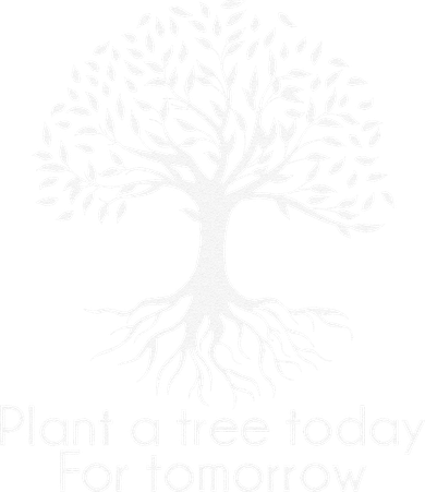 Plant A Tree Today For Tomorrow Arbor Day Ecologist Women's T-Shirt