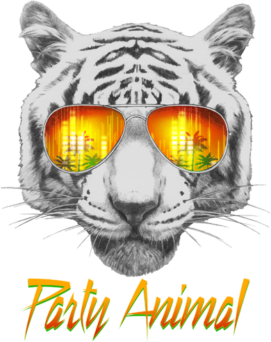 Cool Party Animal Tiger Kids Hoodie