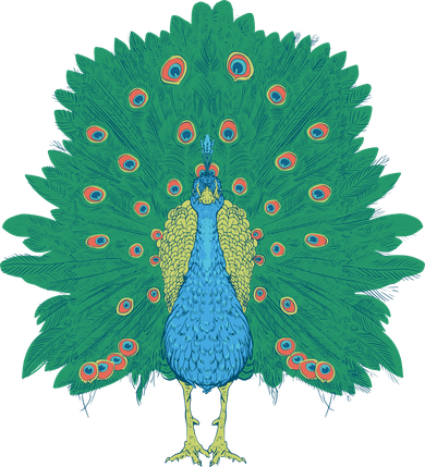Peacock Bird Port Authority Crush Ripstop Backpack