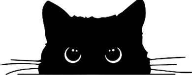 Pocket Black Cat Lover Adult Gift Beanie