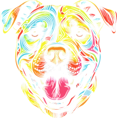 Pit Bull Mom Dog Lover Colorful Artistic Pitbull Owner Women's T-Shirt