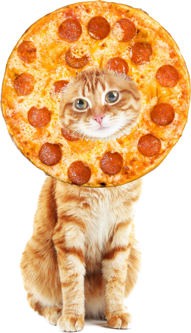 Pizza Cat Hat