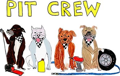 Pit Crew Dogs Funny For Women Santa Hat