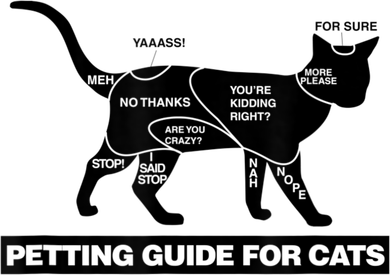 Petting Chart For A Cat Funny How To Pet A Cat Meme Women's T-Shirt