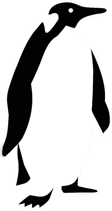 Penguin Cool Gift Cool Gift Women's Hoodie