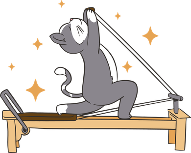 Pilates Cat Lover Funny Baby Bodysuit
