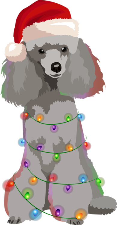 Poodle Christmas Lights Xmas Dog Lover Gift Tumbler