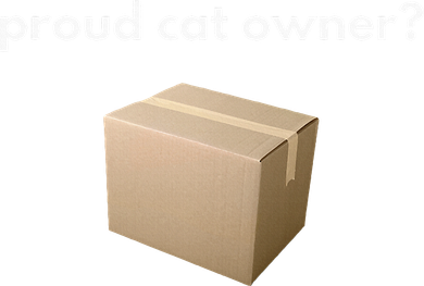 Proud Cat Owner Schrodingers Cat Funny Backpack