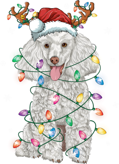 Poodle Christmas Reindeer Santa Hat Poodle Christmas Women's V-Neck T-Shirt