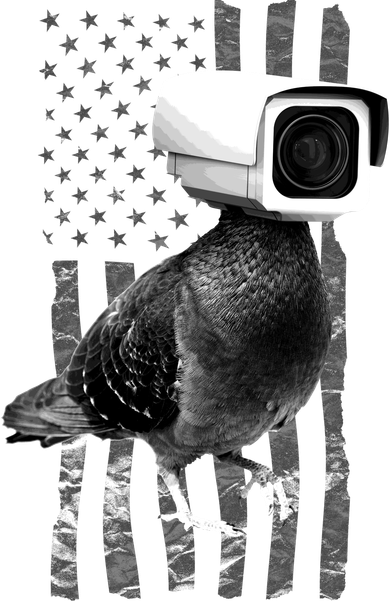 Pidgeon Camera USA Flag Button