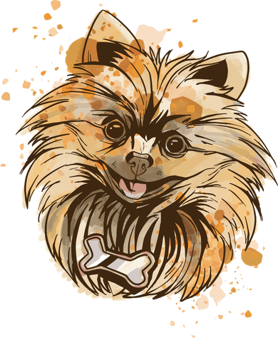Pomeranian Dog Button