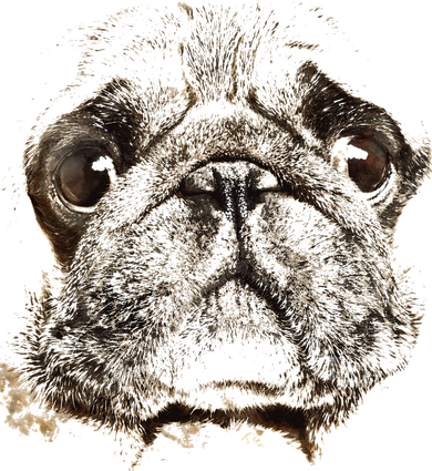 Pug Dog Animal Face Kids T-Shirt