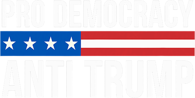 Pro Democracy Anti Trump Hooded Wearable Blanket