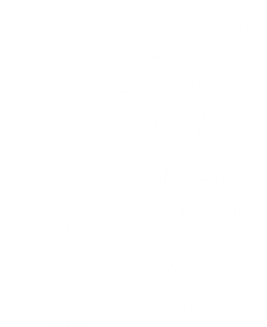 Possum Don't Be Part Of The Problem Be The Entire Problem Funny Opossum Doddie Hoodie