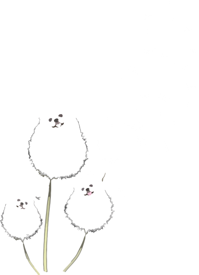 Pomeranian Dandelion Flower Tee Pomeranian Costume Gifts Hat