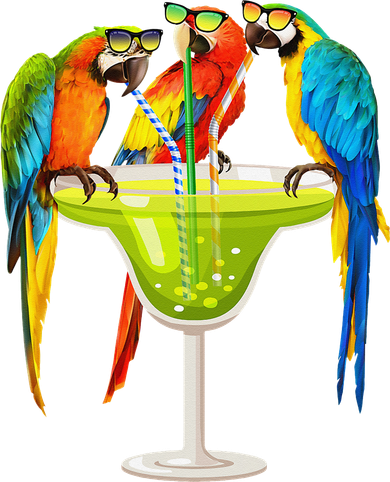 Parrots Drinking Margarita On Summer Vacation Birds Tee Gift Apron