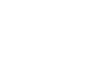 People & Dog Punch Hand Friendship Dog Paw Women's Tank Top