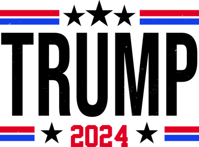 Pro Donald Trump 2024 Usa Election Kids T-Shirt