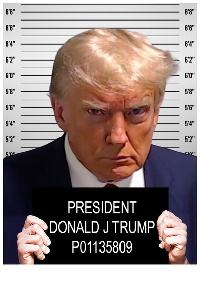 President Donald Trump Mugshot Never Surrender Women's Dry Zone Grid Polo