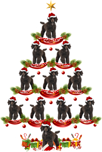 Poodle Dog Xmas Tree Lighting Poodle Christmas Tree Funny Gift Women's V-Neck T-Shirt