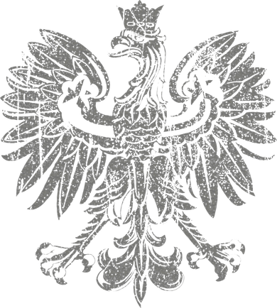 Polish Eagle Poland Coat Of Arms Polish Pride Retro Flag Women's Hoodie