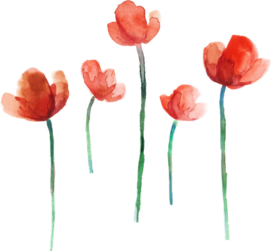 Poppy Flowers Aesthetic Watercolor Cute Tee Gift T-Shirt