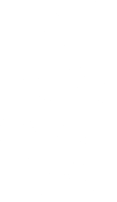 Penguin Funny Polo