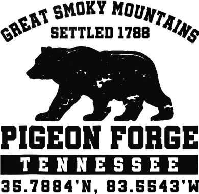 Pigeon Forge Tennessee Bear Great Smoky Mountains Kids Hoodie