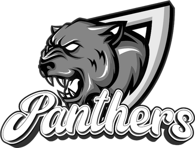 Panthers Fan Team Supporter Sports Animal Wildlife Lover Coaster