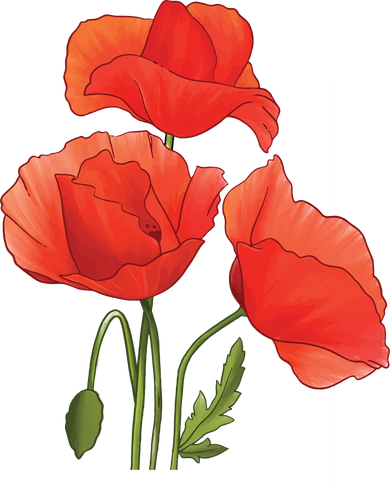 Poppy Flowers Kids Hoodie