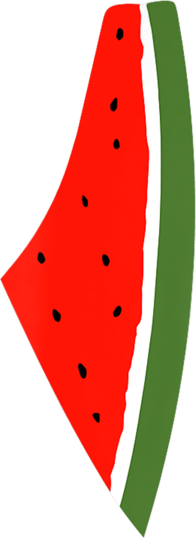Palestine Freedom Watermelon Women's T-Shirt