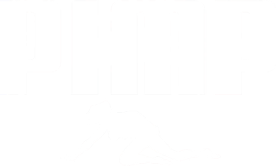 Pimp Logo Button