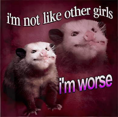 Possum I’m Not Like Other Girl I’m Worse Backpack