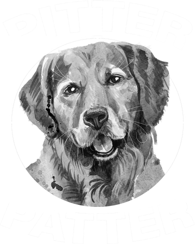 Funny Pitter-Patter Arch Kids T-Shirt