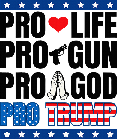 Pro Life Pro Gun Pro God Pro Trump Toddler T-Shirt