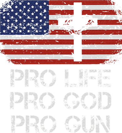Pro Life Pro God Pro Gun Conservative Toddler T-Shirt