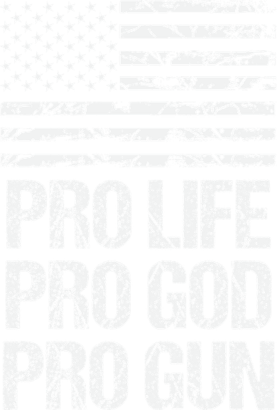 Pro Life Pro God Pro Gun Christian Conservative Toddler T-Shirt