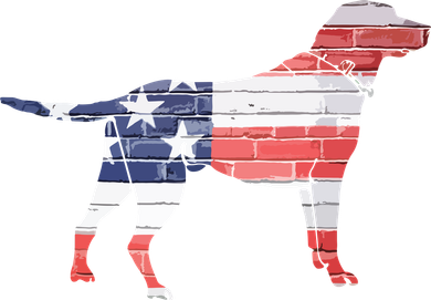 Patriotic Labrador Retriever Wearing USA Flag Lab Puppy Dog Toddler Hoodie