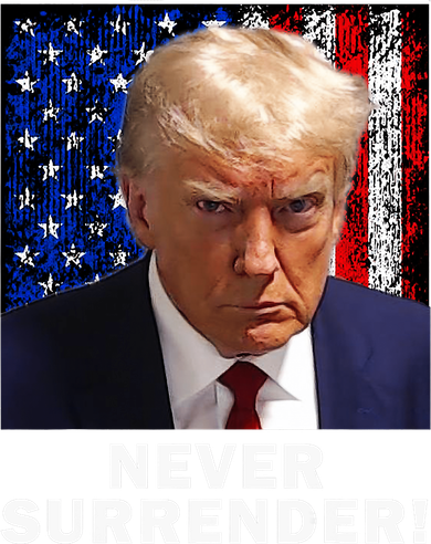 President Legend Trump 2024 Mugshot Never Surrender Toddler T-Shirt