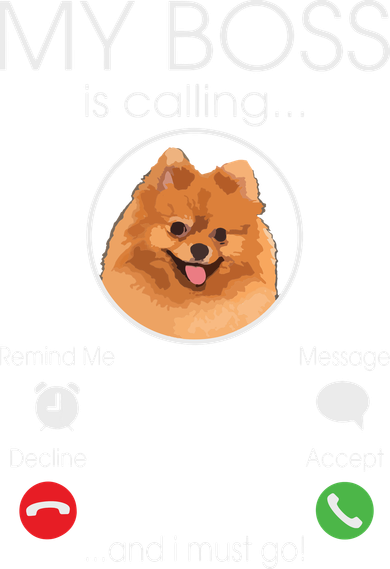Pomeranian My Boss Hat
