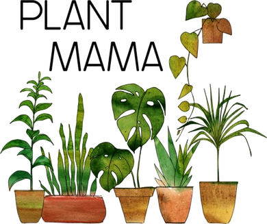 Plant Mama Crazy Plant Lady Monstera Mom Doggie Tank