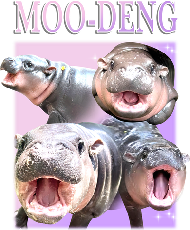 Purple Moo Deng Meme Hippo Funny Women's T-Shirt