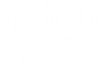 Plymouth Michigan Mi Vintage Sports Coffee Mug
