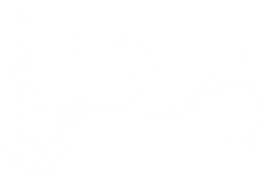 Pianist Music Notes Treble Clef Piano Player Keyboard Piano Women's Dry Zone Grid Polo