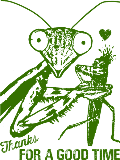 Praying Mantis Thanks For A Good Time Funny Women's Tank Top