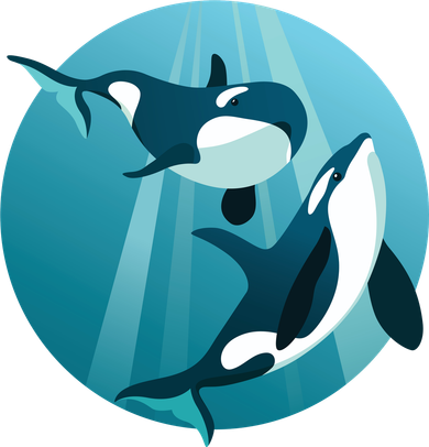 Pair Of Orcas Swimming Kids T-Shirt