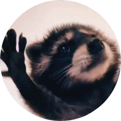 Pedro Pedro Racoon Dance Popular Internet Meme Racoon Day Toddler T-Shirt